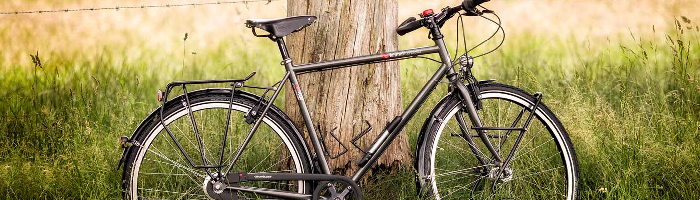 VSF Fahrrad Manufactur V lonaute